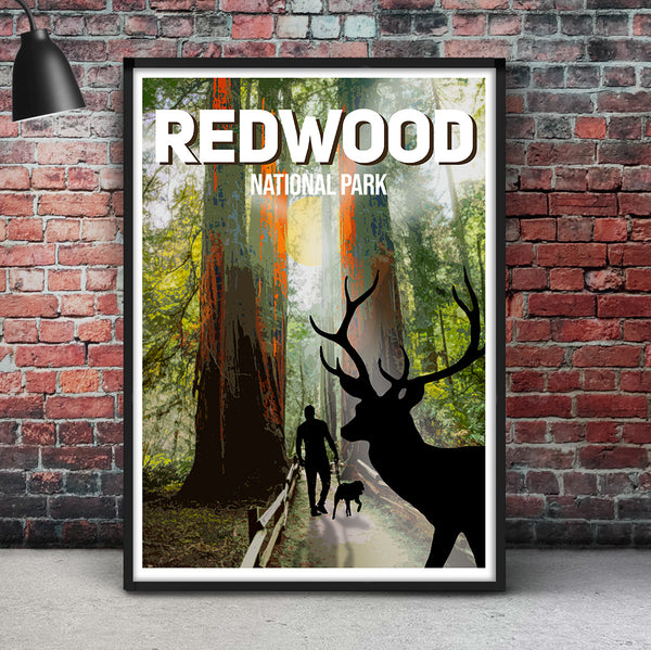redwood National park