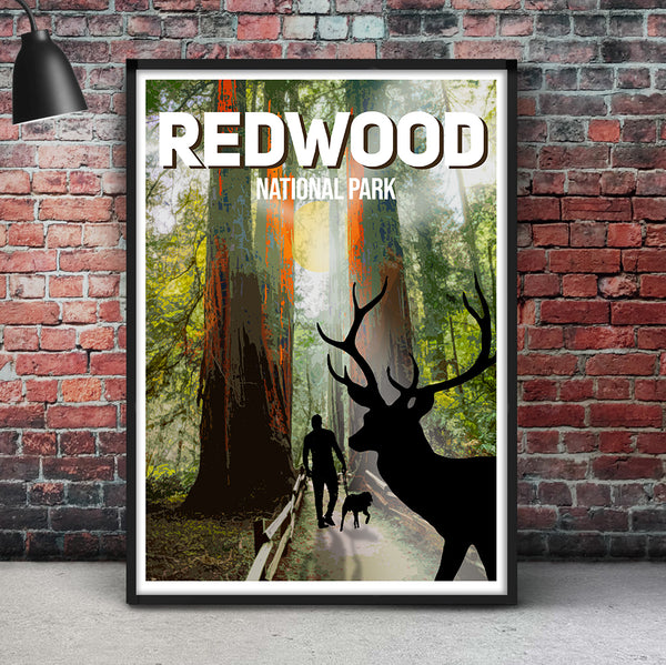 Redwood National Park Poster