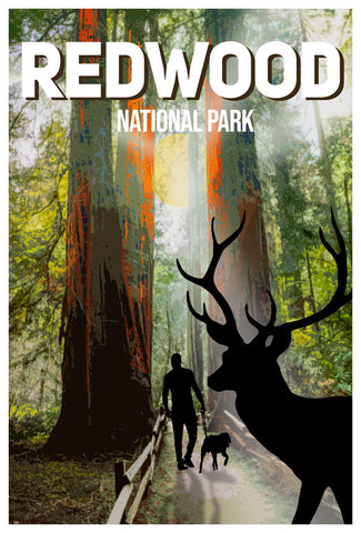 Redwood National Park Poster