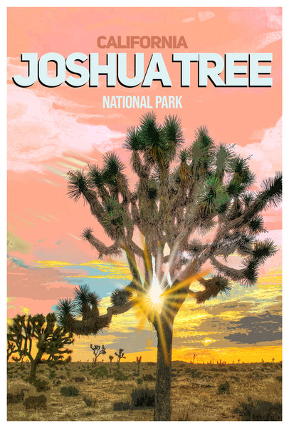 Joshua Tree National Park Poster