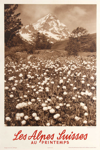 Les Alpes Suisses Au Printemps Alps in Spring-Black and White  Vintage Poster