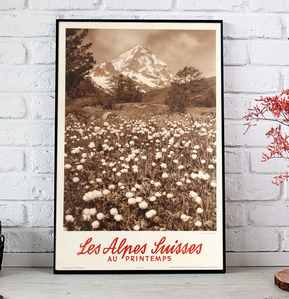 Les Alpes Suisses Au Printemps Alps in Spring-Black and White  Vintage Poster